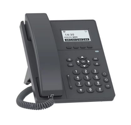 Basic IP Phone with 2 SIP accounts, black &amp; white screen